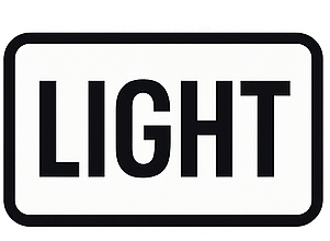 Logo BlueNavi Light